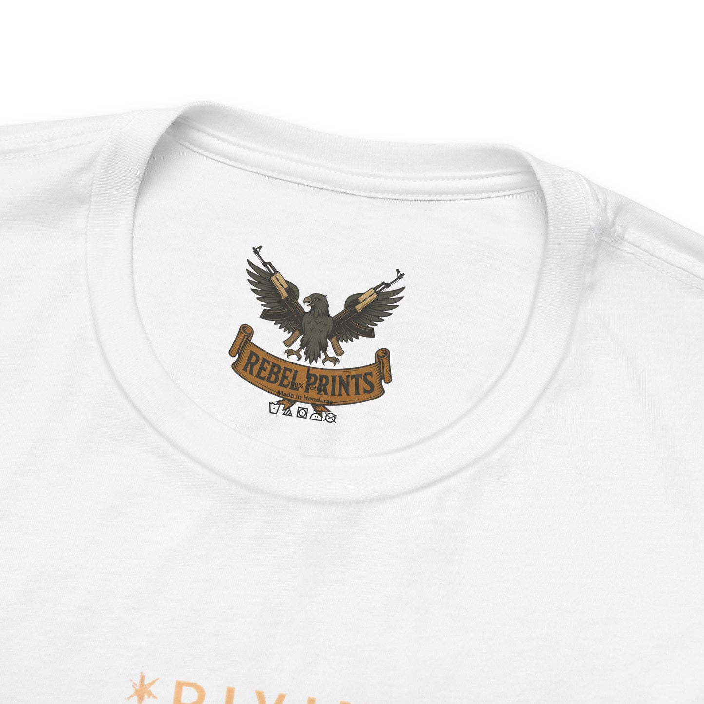 Custodian Angel Statue Graphic Tee — Vintage Religious Winged Guardian T-Shirt