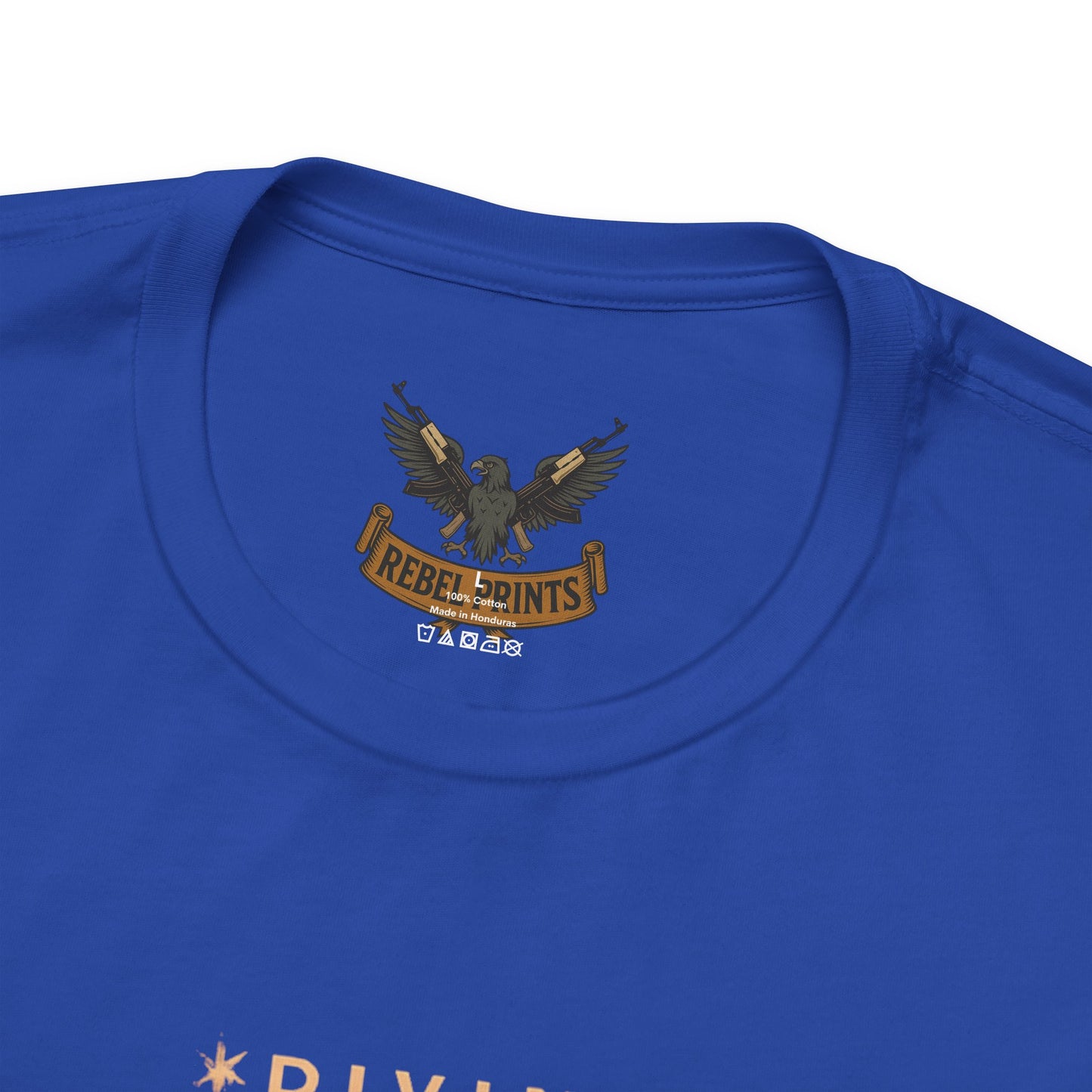 Custodian Angel Statue Graphic Tee — Vintage Religious Winged Guardian T-Shirt